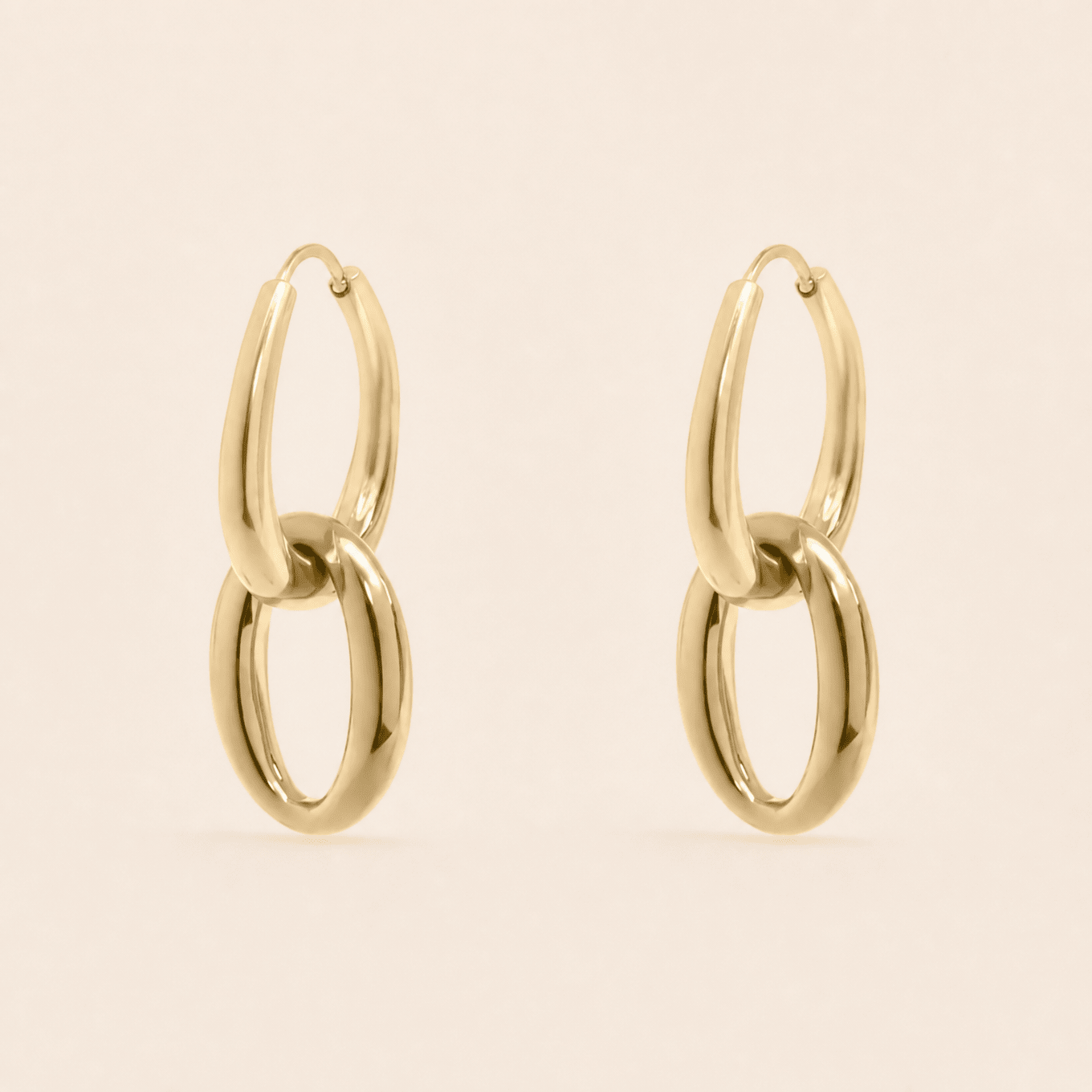 Double Hoop Dangle Earrings - Gemlet