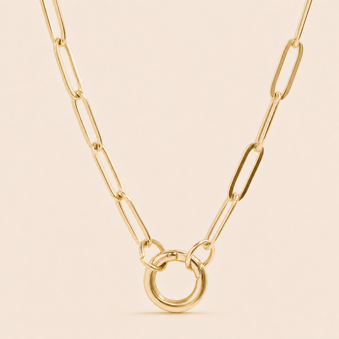 Paperclip Carabiner Necklace - Gemlet