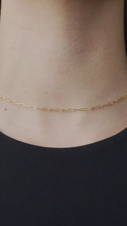 Small Paperclip Chain Necklace